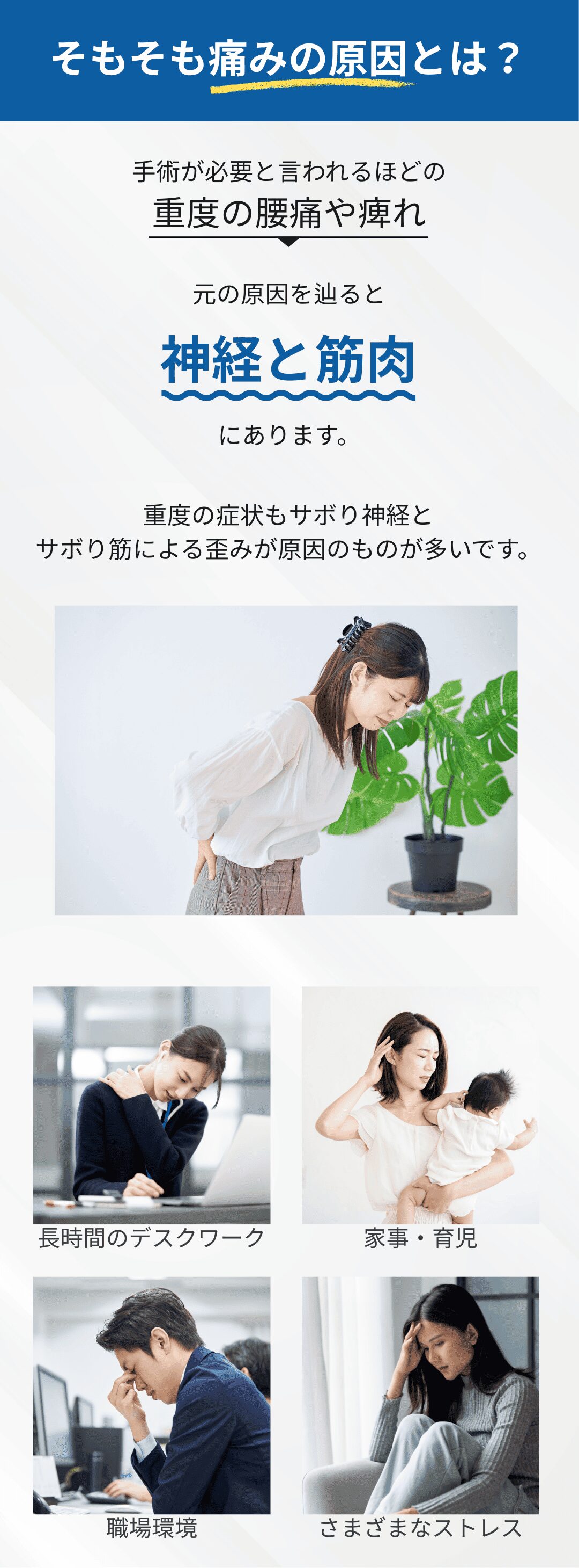 痛みの原因は神経と筋肉にあります